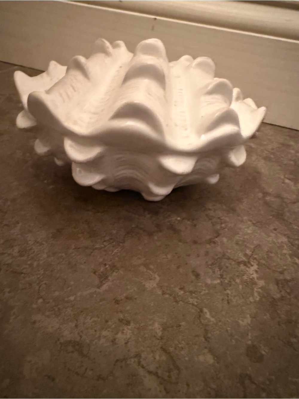 Shell decor - Picture 3 of 3